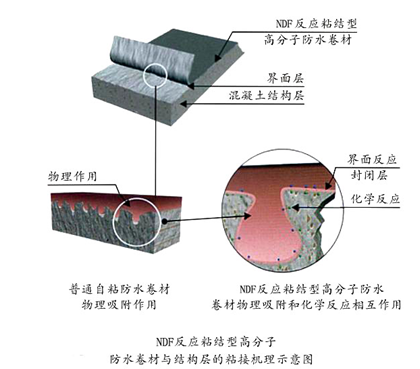 NDF防水系统